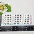 Load image into Gallery viewer, Adhesive Resin Eyes for Clays Multicolor STY R139 PP (X-SM) 40Pairs