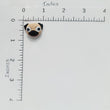 Load image into Gallery viewer, Random Color Flatback Resin Cabochons Cartoon Animals - W1/W11- Set of 10