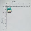 Load image into Gallery viewer, Zoo Flatback Resin Cabochons - 1/6 - Set of 5