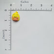 Load image into Gallery viewer, Zoo Flatback Resin Cabochons - 1/6 - Set of 5