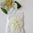 Load image into Gallery viewer, Small Quilt Flowers - #11 - Buttermilk - 25 units