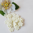 Load image into Gallery viewer, Small Quilt Flowers - #11 - Buttermilk - 25 units