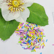 Load image into Gallery viewer, Resin Sprinkles for Craft - Pack of 0,35 oz (10g)