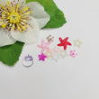 Load image into Gallery viewer, Resin Flatback Stars for Craft - Mixed Colors - Set of 10