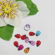 Load image into Gallery viewer, Flatback Resin Ladybugs for Craft - Mixed Colors - Set of 10
