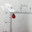Load image into Gallery viewer, Flatback Resin Ladybugs for Craft - Mixed Colors - Set of 10