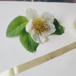 Load image into Gallery viewer, Metallic Gold Ribbon -1/2" (12mm) - 4 yards