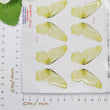 Load image into Gallery viewer, Adhesive Resin Wings for Clays (set of 4) MNC 4.5 cm