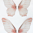 Load image into Gallery viewer, Adhesive Resin Wings for Clays (set of 4) MNC 4.5 cm