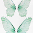 Load image into Gallery viewer, Adhesive Resin Wings for Clays (set of 4) MNC 4.5 cm
