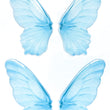 Load image into Gallery viewer, Adhesive Resin Wings for Clays (set of 4) MNC 4.5 cm