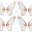 Load image into Gallery viewer, Adhesive Resin Wings for Clays (set of 4) MNC 4.5 cm