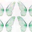 Load image into Gallery viewer, Adhesive Resin Wings for Clays (set of 4) MNC 4.5 cm