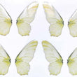 Load image into Gallery viewer, Adhesive Resin Wings for Clays (set of 4) MNC 3.0 cm