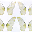 Load image into Gallery viewer, Adhesive Resin Wings for Clays (set of 4) MNC 4.5 cm