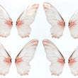 Load image into Gallery viewer, Adhesive Resin Wings for Clays (set of 4) MNC 4.5 cm