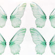 Load image into Gallery viewer, Adhesive Resin Wings for Clays (set of 4) MNC 4.5 cm