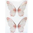 Load image into Gallery viewer, Adhesive Resin Wings for Clays (set of 4) MNC 4.5 cm