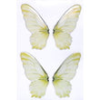 Load image into Gallery viewer, Adhesive Resin Wings for Clays (set of 4) MNC 4.5 cm