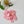Load image into Gallery viewer, Small Quilt Flowers - #37 - Bubblegum - 25 units
