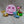 Load image into Gallery viewer, Cute Little Forest Universal 3D Silicone Mold 137 MA
