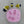 Load image into Gallery viewer, Cute Bees Mold 167 MA
